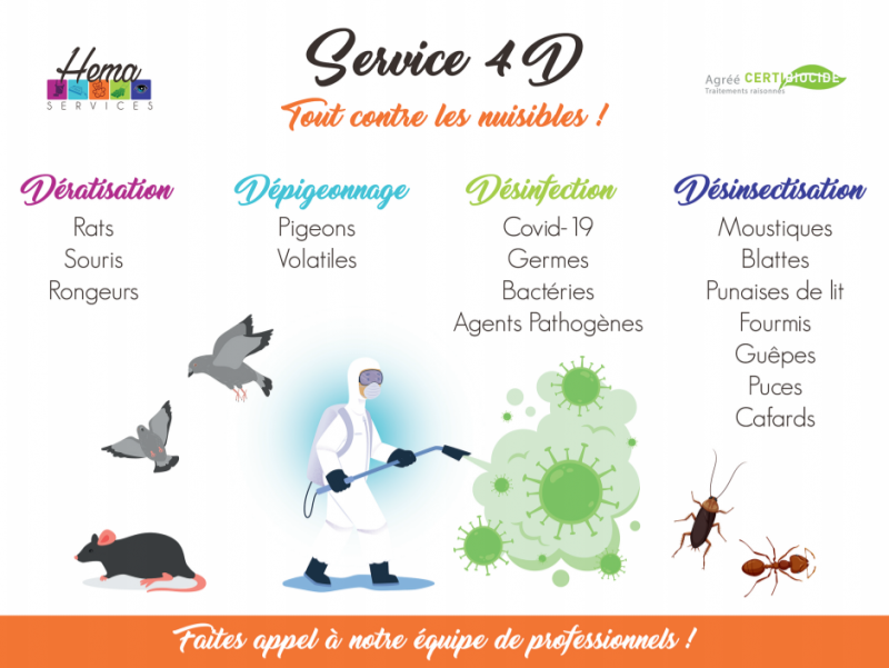 Hema Services se développe et vous propose son service spécialisé dans le service 4D : Tout contre les nuisibles !