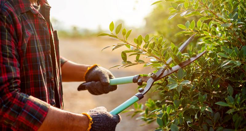 Hema Services : la compétence, fruit de l'expérience