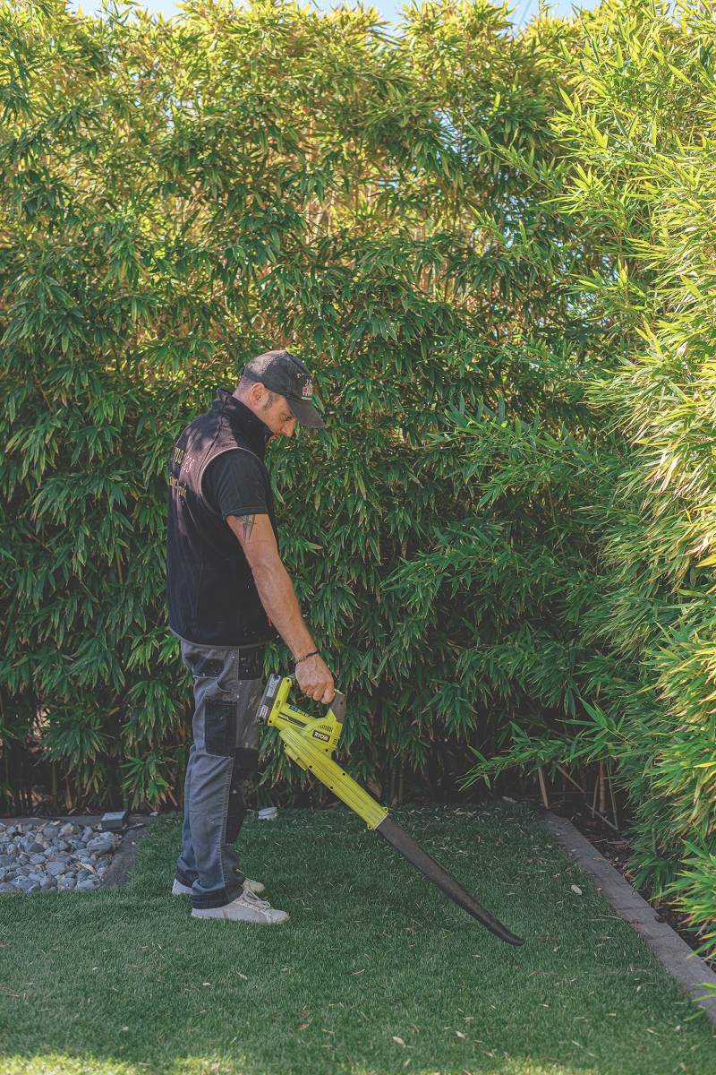 Paysagiste sous services à la personne pour l’entretien de végétaux près de La Seyne sur mer ?