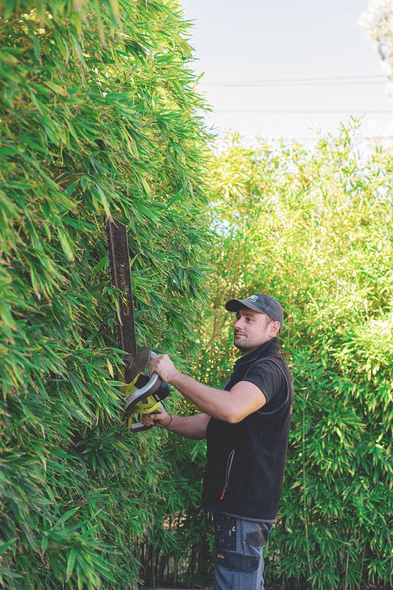 Entretien des haies et végétaux sur l’aire toulonnaise dans le Var