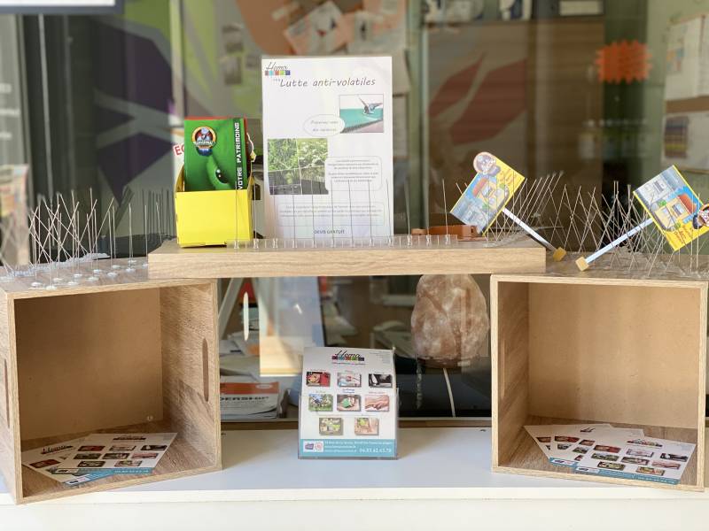 Quelle société professionnelle pour réaliser un dépigeonnage dans le var près de Toulon ?