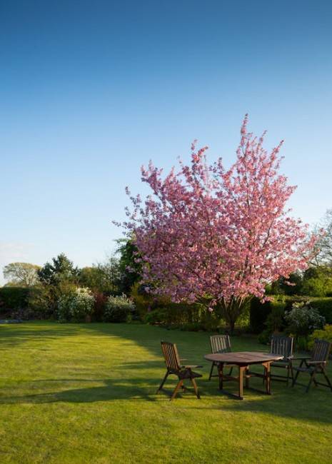 Service de désherbage et entretien d’espaces verts 