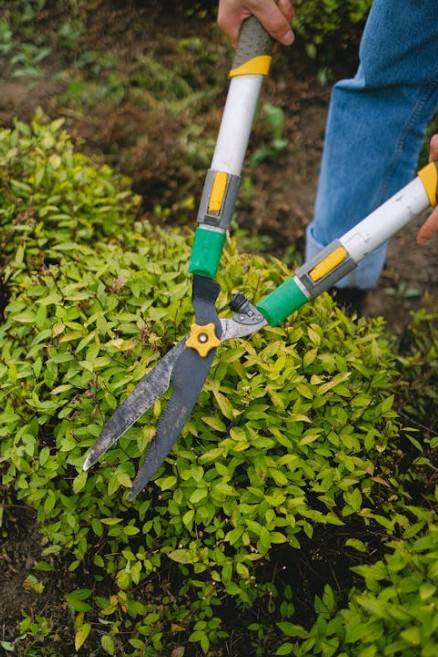 Service d’entretien d’espaces verts à Six-Fours-les-Plages : taille de haies, jardinage et propreté